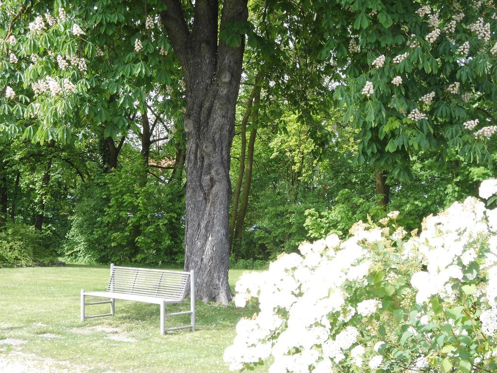 Haus Am Bach - Gemuetliche Pension Allershausen Εξωτερικό φωτογραφία